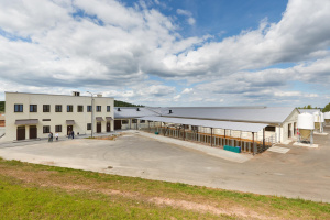 Заместитель директора по сельскому хозяйству